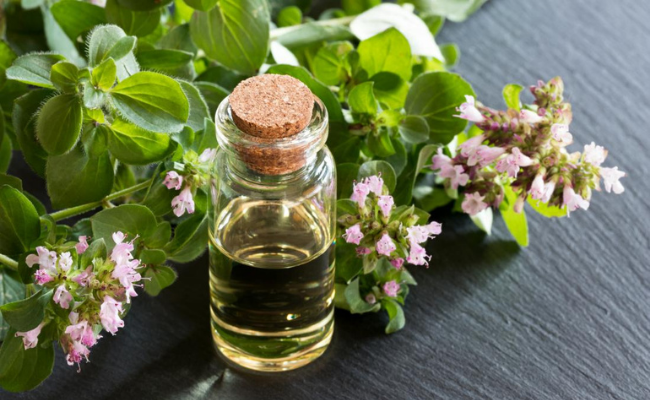 oregano oil Home remedies for thrush