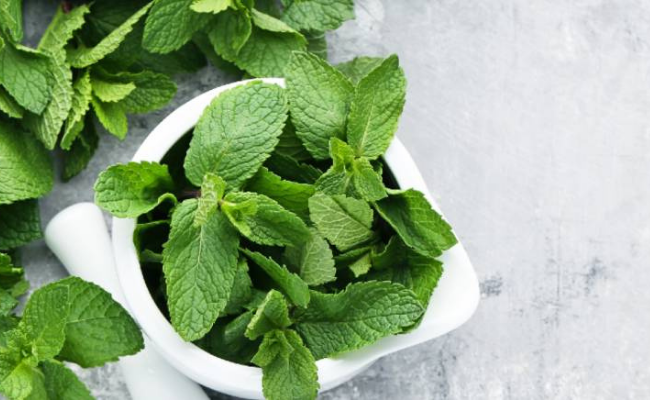 Mint Leaves home remedies for scalp acne