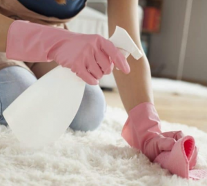 Featured Home Remedies for Carpet Stains