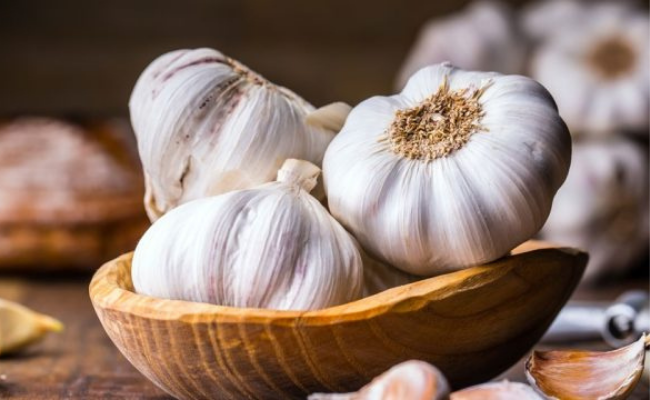 Garlic- home remedies for mastitis