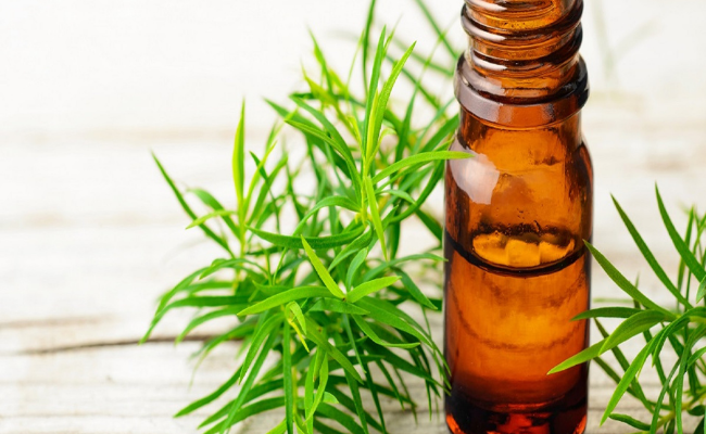 Tea Tree Oil-home remedies for thrush