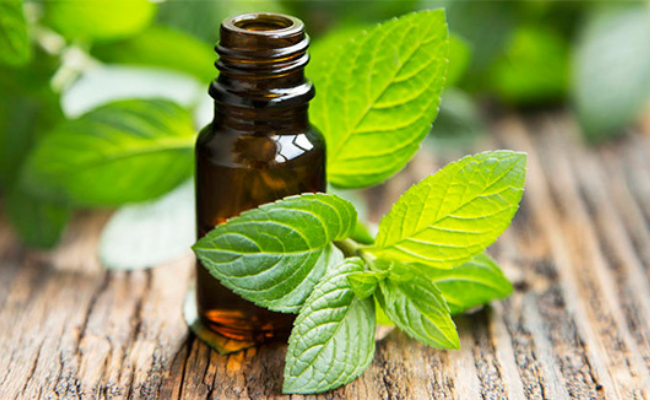 Essential oil- home remedies for no-see-ums