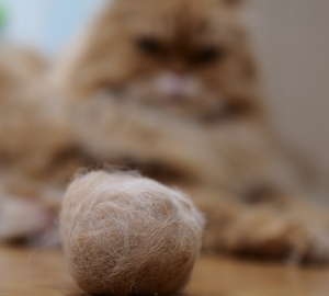 home remedies for cat hairballs
